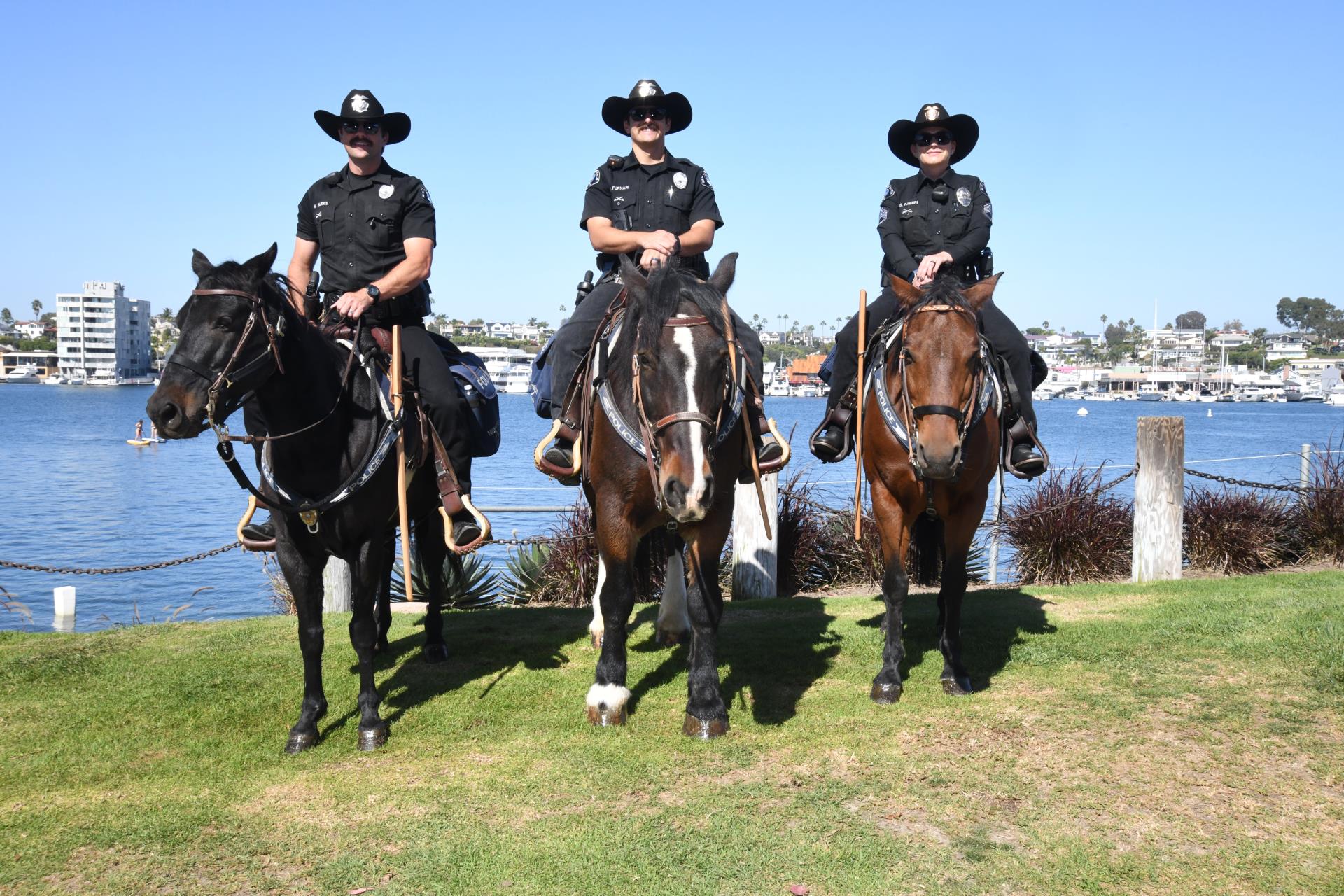 NBPD Mounted Unit Officers and Mounts